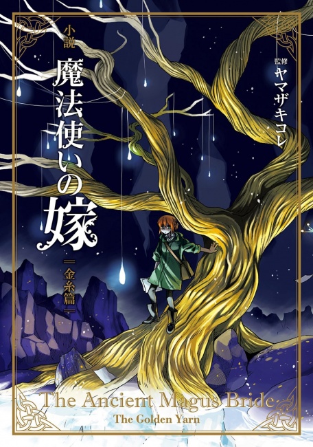 The Ancient Magus' Bride Manga Volume 12