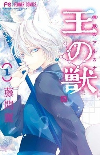 Kamisama Kiss Creator Unveils Next Series